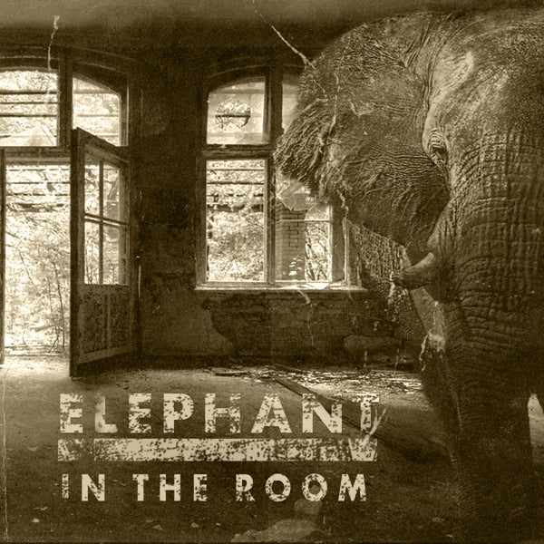 Blackballed - Elephant In The Room |  Vinyl LP | Blackballed - Elephant In The Room (LP) | Records on Vinyl