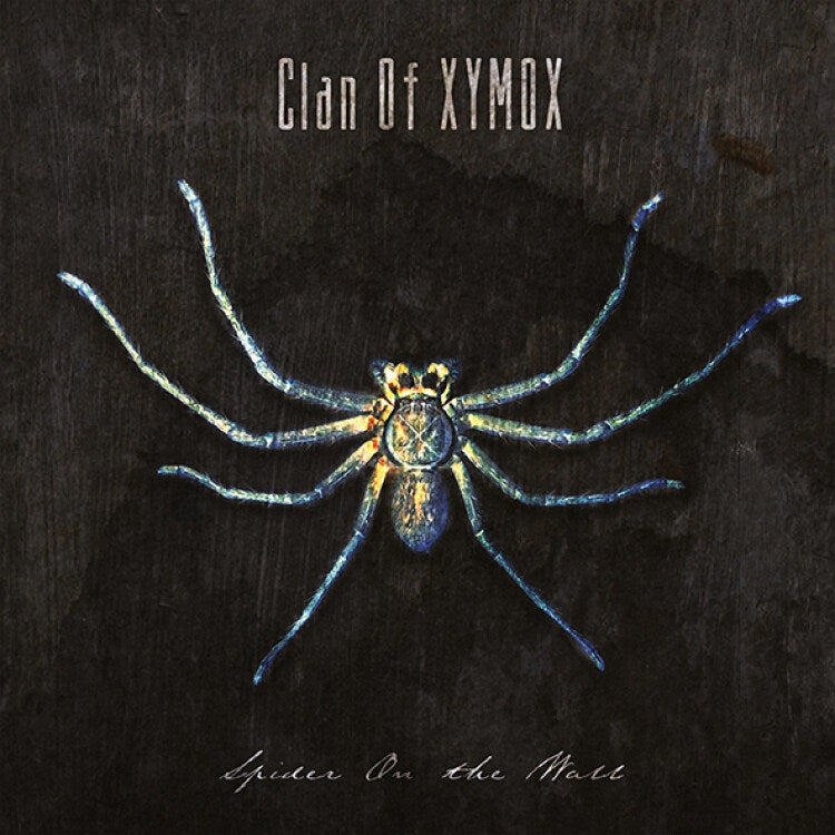  |  Vinyl LP | Clan of Xymox - Spider On the Wall (LP) | Records on Vinyl