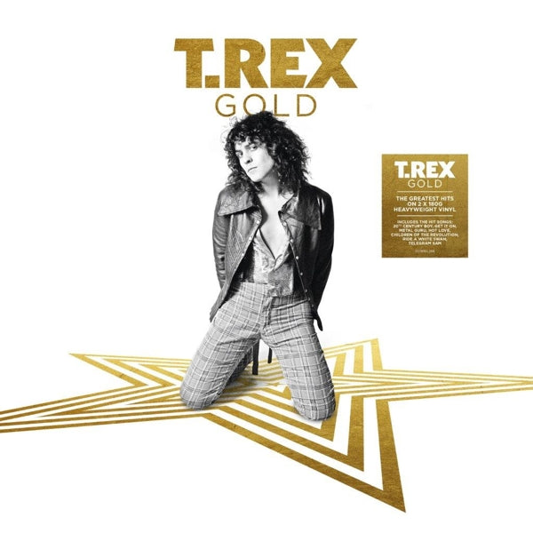 T. Rex - Gold |  Vinyl LP | T. Rex - Gold (2 LPs) | Records on Vinyl