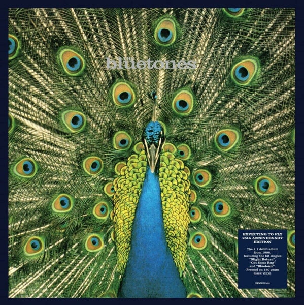  |  Vinyl LP | Bluetones - Expecting To Fly (LP) | Records on Vinyl