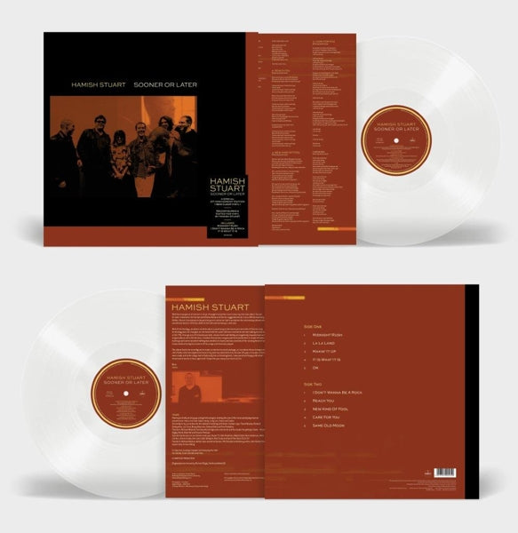 Hamish Stuart - Sooner Or Later |  Vinyl LP | Hamish Stuart - Sooner Or Later (LP) | Records on Vinyl