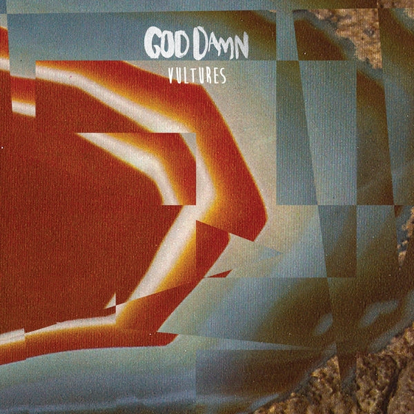  |  Vinyl LP | God Damn - Vultures (LP) | Records on Vinyl