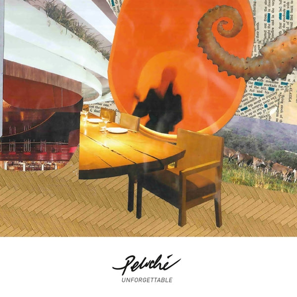 Peluche - Unforgettable |  Vinyl LP | Peluche - Unforgettable (LP) | Records on Vinyl