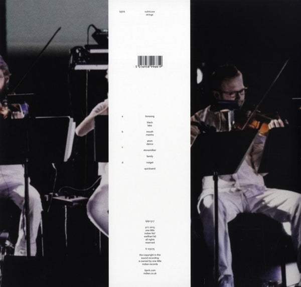 Bjork - Vulnicura Strings |  Vinyl LP | Bjork - Vulnicura Strings (2 LPs) | Records on Vinyl