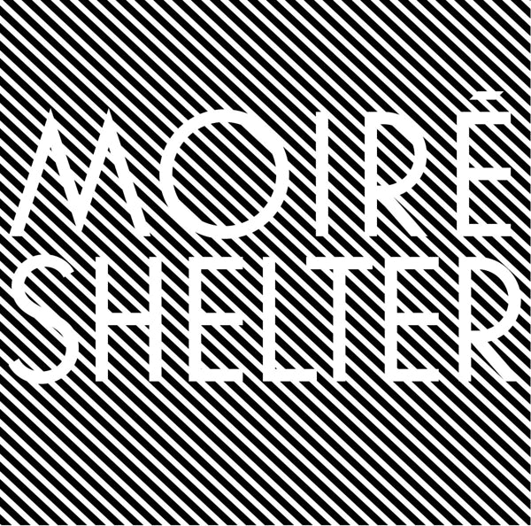  |  Vinyl LP | Moire - Shelter (LP) | Records on Vinyl
