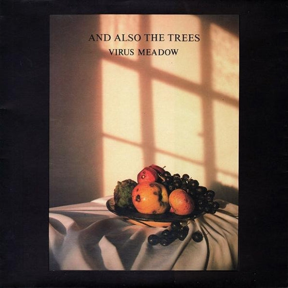  |  Vinyl LP | And Also the Trees - Virus Meadow (2 LPs) | Records on Vinyl