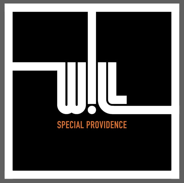 Special Providence - Will |  Vinyl LP | Special Providence - Will (2 LPs) | Records on Vinyl