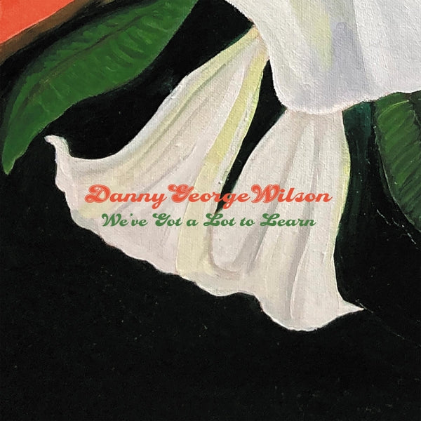  |  7" Single | Danny George Wilson - We've Got a Lot To Learn (Single) | Records on Vinyl