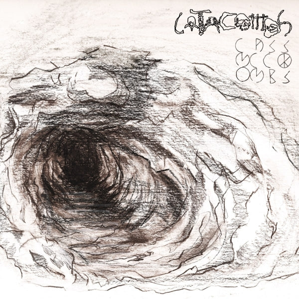 Cass Mccombs - Catacombs  |  Vinyl LP | Cass Mccombs - Catacombs  (2 LPs) | Records on Vinyl