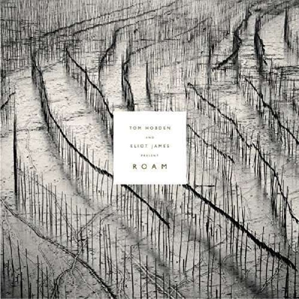  |  Vinyl LP | Tom/Eliot James Hobden - Present: Roam (LP) | Records on Vinyl