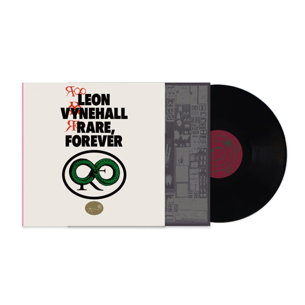 Leon Vynehall - Rare Forever  |  Vinyl LP | Leon Vynehall - Rare Forever  (LP) | Records on Vinyl