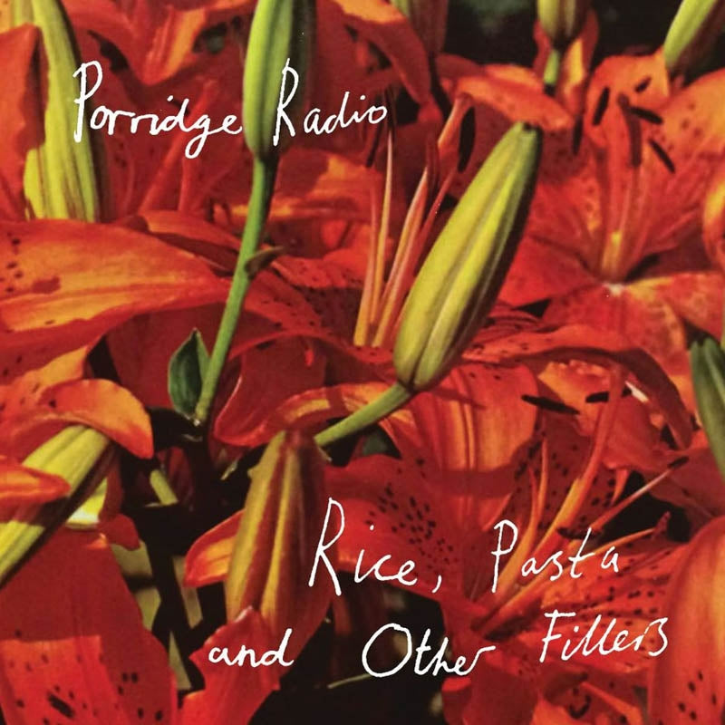  |  Vinyl LP | Porridge Radio - Rice, Pasta and Other Fillers (LP) | Records on Vinyl