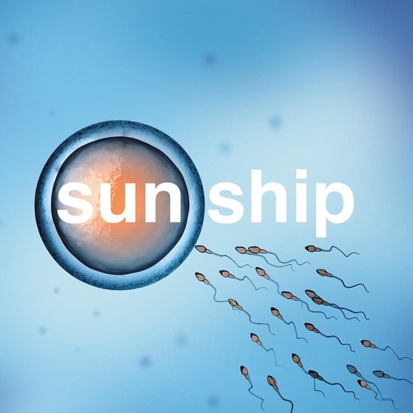  |  12" Single | Brian Jonestown Massacre - Sun Ship-10" (Single) | Records on Vinyl