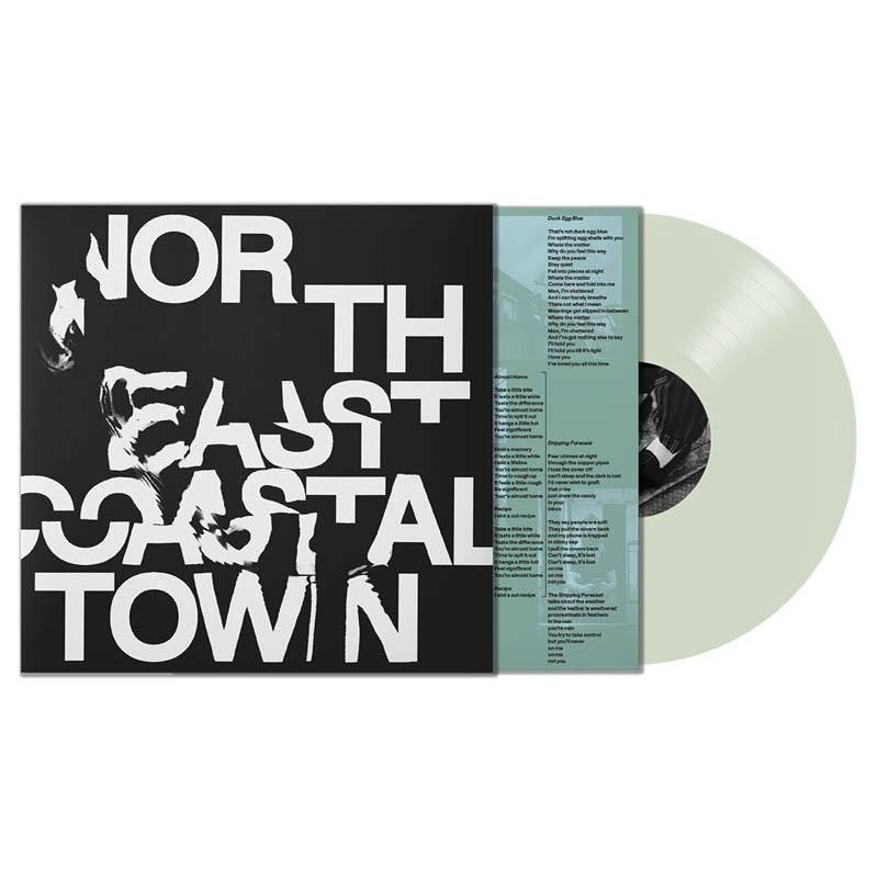  |  Vinyl LP | Life - North East Coastal Town (LP) | Records on Vinyl