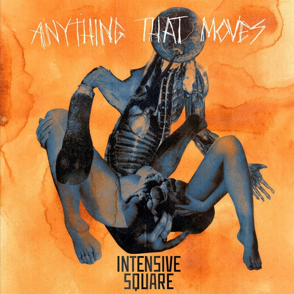 Intensive Square - Anything That Moves |  Vinyl LP | Intensive Square - Anything That Moves (LP) | Records on Vinyl