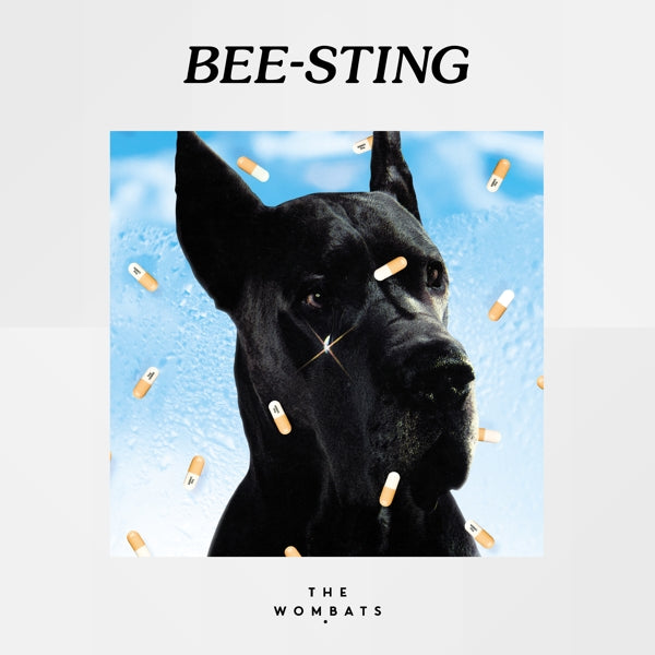  |  7" Single | Wombats - Bee-Sting (Single) | Records on Vinyl