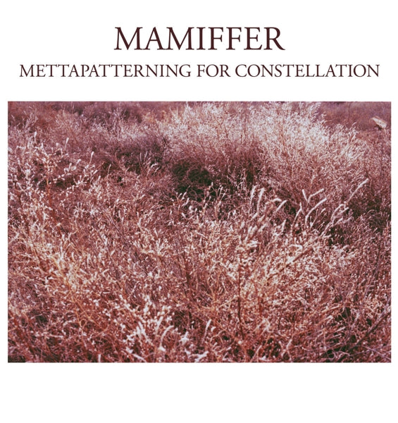  |  Vinyl LP | Mamiffer - Mettapatterning For Constellation (LP) | Records on Vinyl