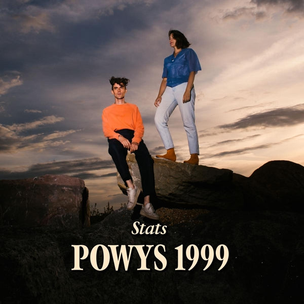 Stats - Powys 1999  |  Vinyl LP | Stats - Powys 1999  (LP) | Records on Vinyl