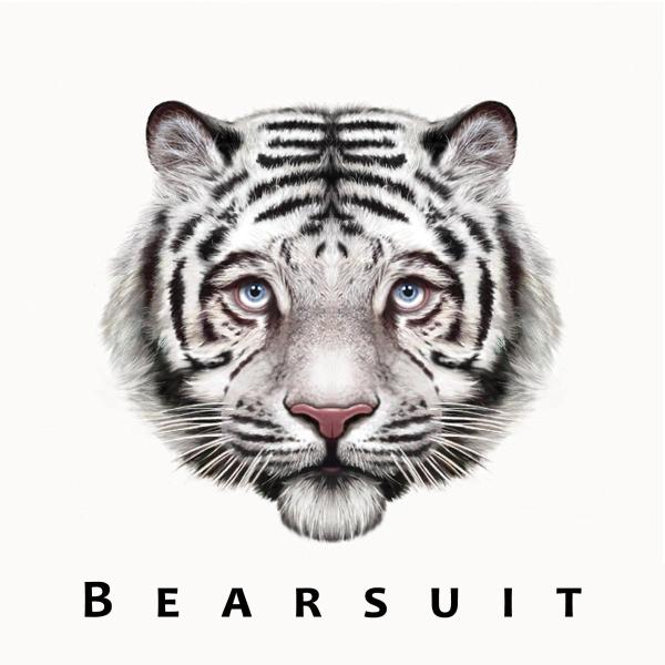 |  Vinyl LP | Bearsuit - Phantom Forest (LP) | Records on Vinyl