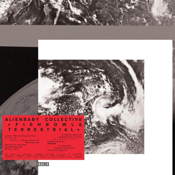  |  Vinyl LP | Alienbaby Collective - Fishbowl/Terrestrial (LP) | Records on Vinyl