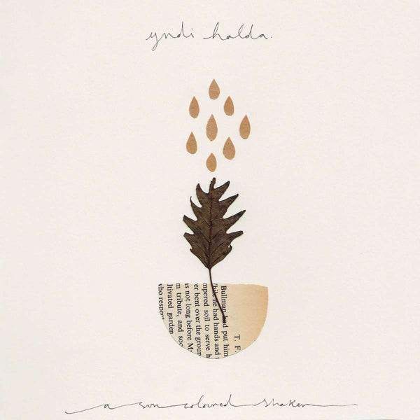  |  12" Single | Yndi Halda - A Sun Coloured Shaker (Single) | Records on Vinyl