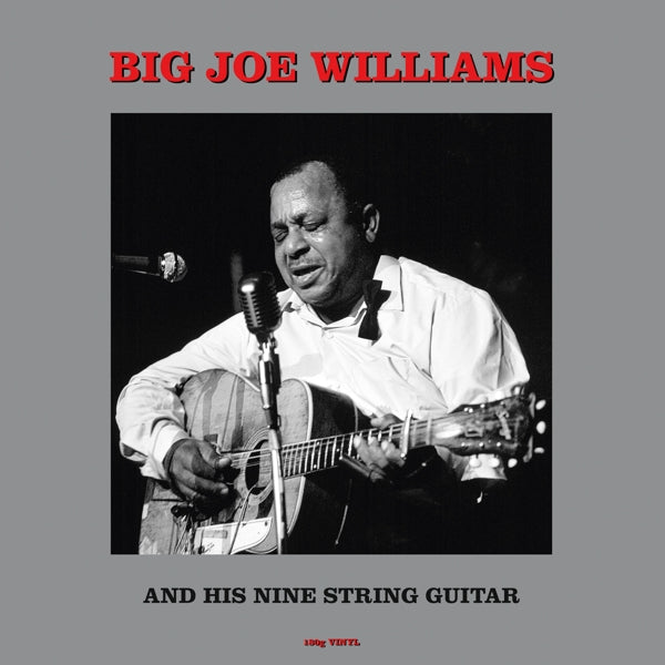  |  Vinyl LP | Big Joe Williams - And His Nine String Guitar (LP) | Records on Vinyl