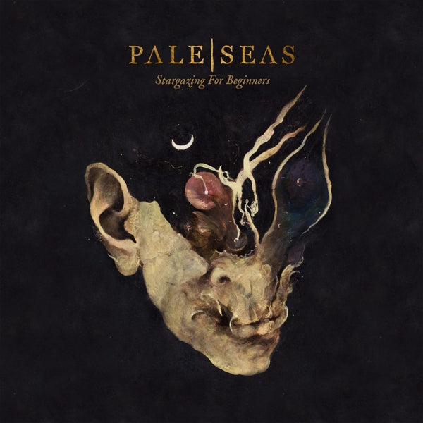 Pale Seas - Stargazing For Beginners |  Vinyl LP | Pale Seas - Stargazing For Beginners (LP) | Records on Vinyl