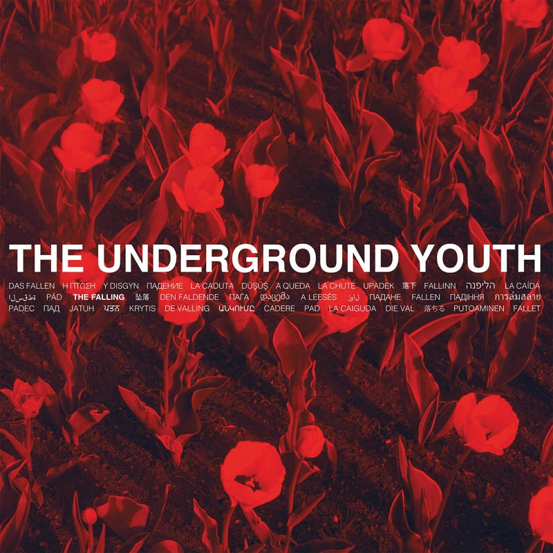 Underground Youth - Falling |  Vinyl LP | Underground Youth - Falling (LP) | Records on Vinyl