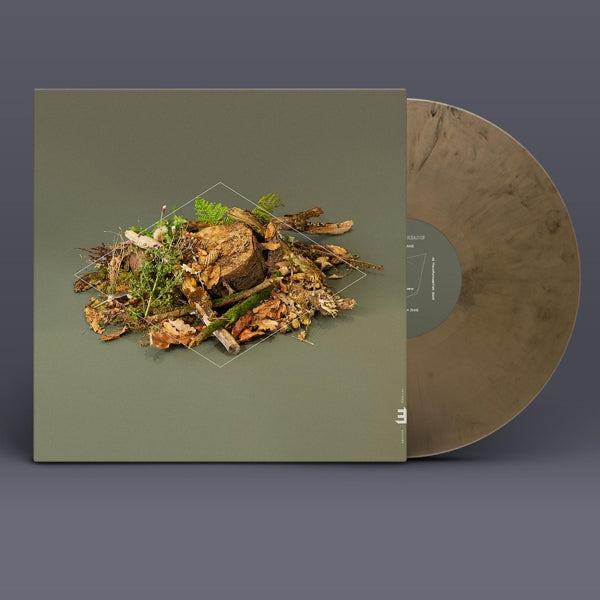  |  Vinyl LP | Fergus McCreadie - Forest Floor (LP) | Records on Vinyl