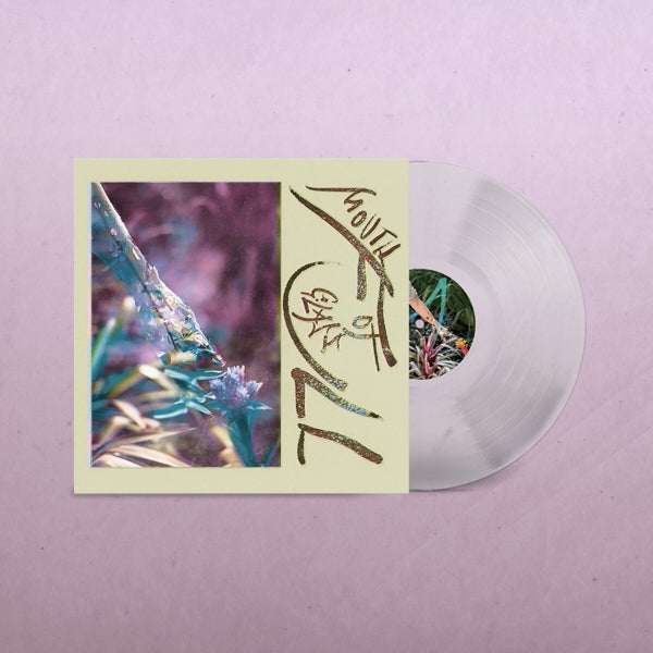  |  Vinyl LP | Macie Stewart - Mouth Full of Glass (LP) | Records on Vinyl