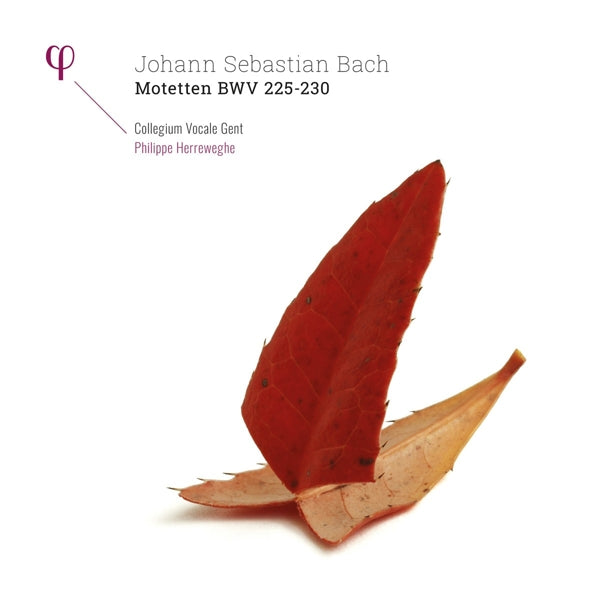  |  Vinyl LP | J.S. Bach - Motetten Bwv 225-230 (2 LPs) | Records on Vinyl