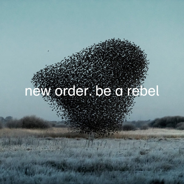 New Order - Be A Rebel  |  12" Single | New Order - Be A Rebel (Coloured Vinyl)  (12" Single) | Records on Vinyl