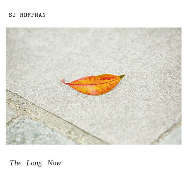 Sj Hoffman - Long Now  |  Vinyl LP | Sj Hoffman - Long Now  (LP) | Records on Vinyl