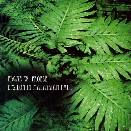  |  Vinyl LP | Edgar Froese - Epsilon In Malaysian Pale (LP) | Records on Vinyl