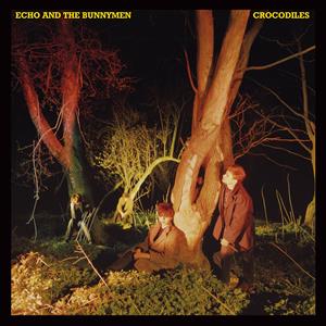 Echo & The Bunnymen - Crocodiles  |  Vinyl LP | Echo & The Bunnymen - Crocodiles  (LP) | Records on Vinyl