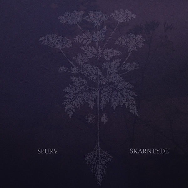 Spurv - Skarntyde |  Vinyl LP | Spurv - Skarntyde (LP) | Records on Vinyl
