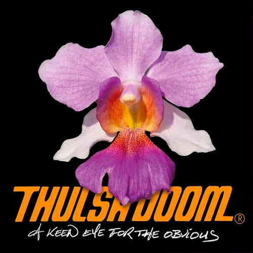  |  Vinyl LP | Thulsa Doom - A Keen Eye For the Obviou (LP) | Records on Vinyl