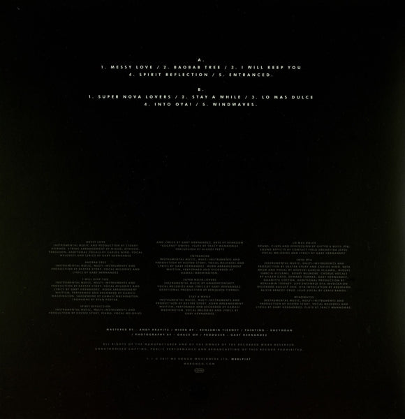 Gaby Hernandez - Spirit Reflection |  Vinyl LP | Gaby Hernandez - Spirit Reflection (LP) | Records on Vinyl