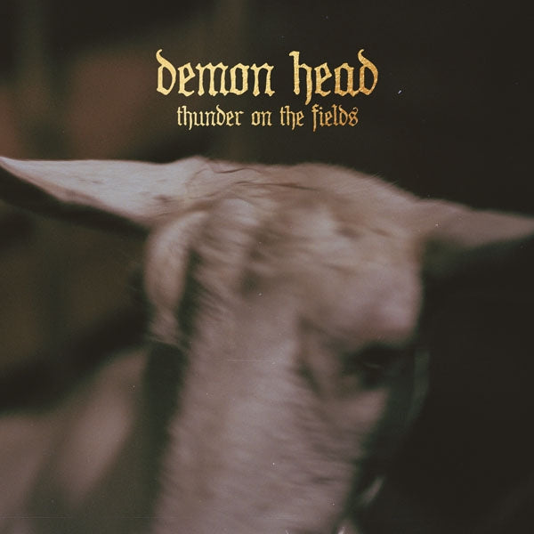  |  Vinyl LP | Demon Head - Thunder On the Fields (LP) | Records on Vinyl