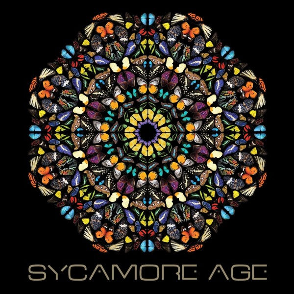  |  Vinyl LP | Sycamore Age - Sycamore Age (LP) | Records on Vinyl