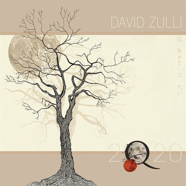  |  Vinyl LP | David Zulli - 2q20 (LP) | Records on Vinyl