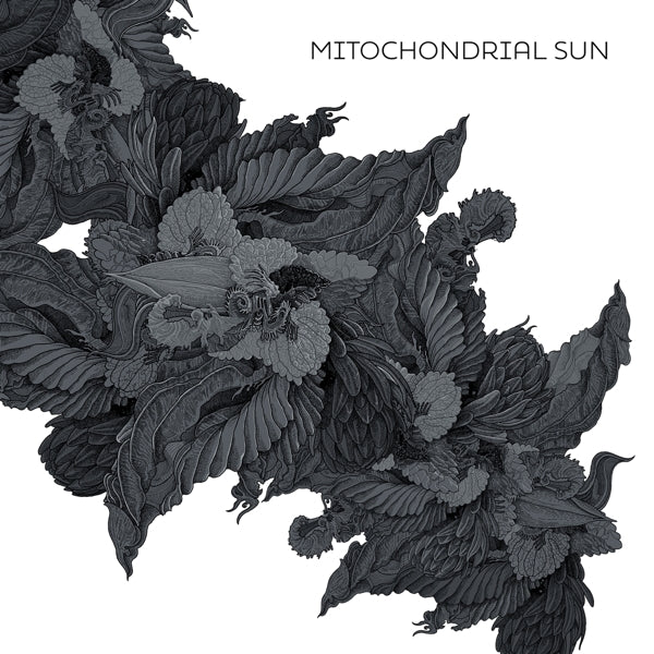 Mitochondrial Sun - Mitochondrial Sun |  Vinyl LP | Mitochondrial Sun - Mitochondrial Sun (LP) | Records on Vinyl