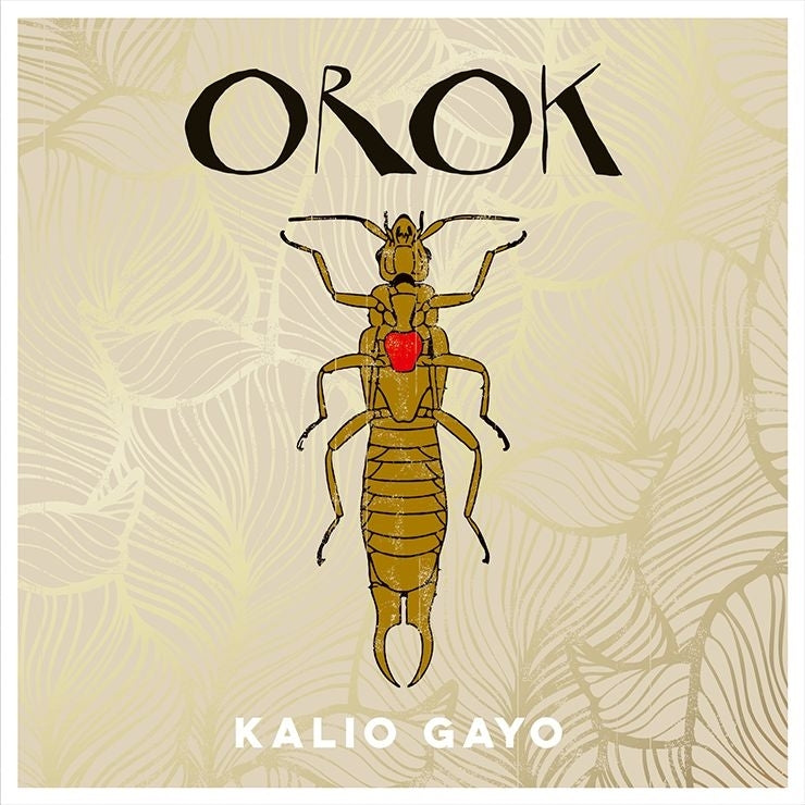  |  Vinyl LP | Kalio Gayo - Orok (LP) | Records on Vinyl
