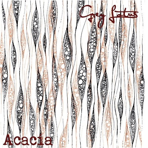 Grey Lotus - Acacia Live |  Vinyl LP | Grey Lotus - Acacia Live (LP) | Records on Vinyl