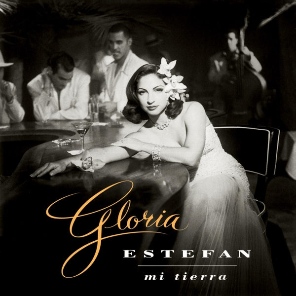 Gloria Estefan - Mi Tierra  |  Vinyl LP | Gloria Estefan - Mi Tierra  (LP) | Records on Vinyl