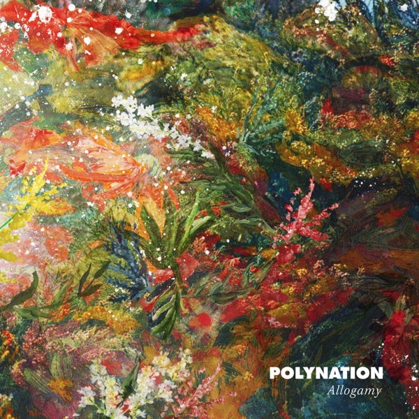  |  12" Single | Polynation - Allogamy (Single) | Records on Vinyl