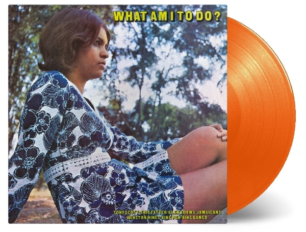 V/A - What Am I To Do?  |  Vinyl LP | V/A - What Am I To Do?  (LP) | Records on Vinyl
