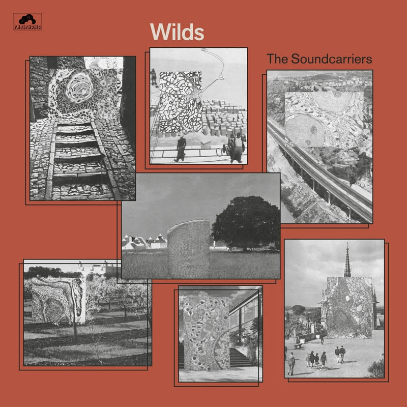  |  Vinyl LP | Soundcarriers - Wilds (LP) | Records on Vinyl