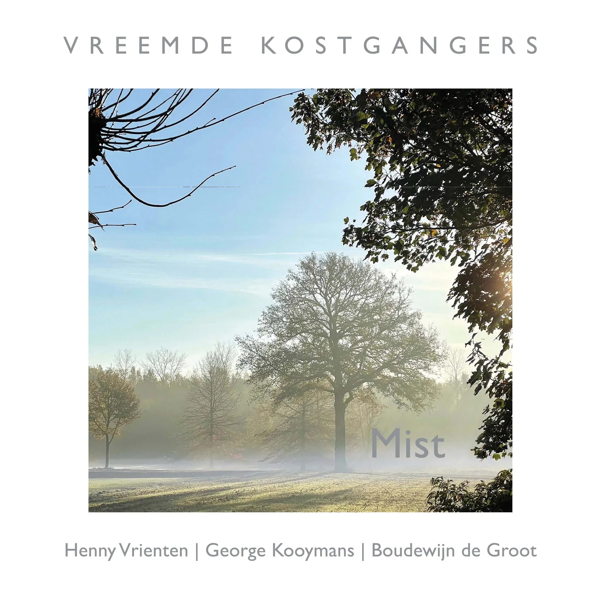  |  Vinyl LP | Vreemde Kostgangers -  Mist (LP) | Records on Vinyl