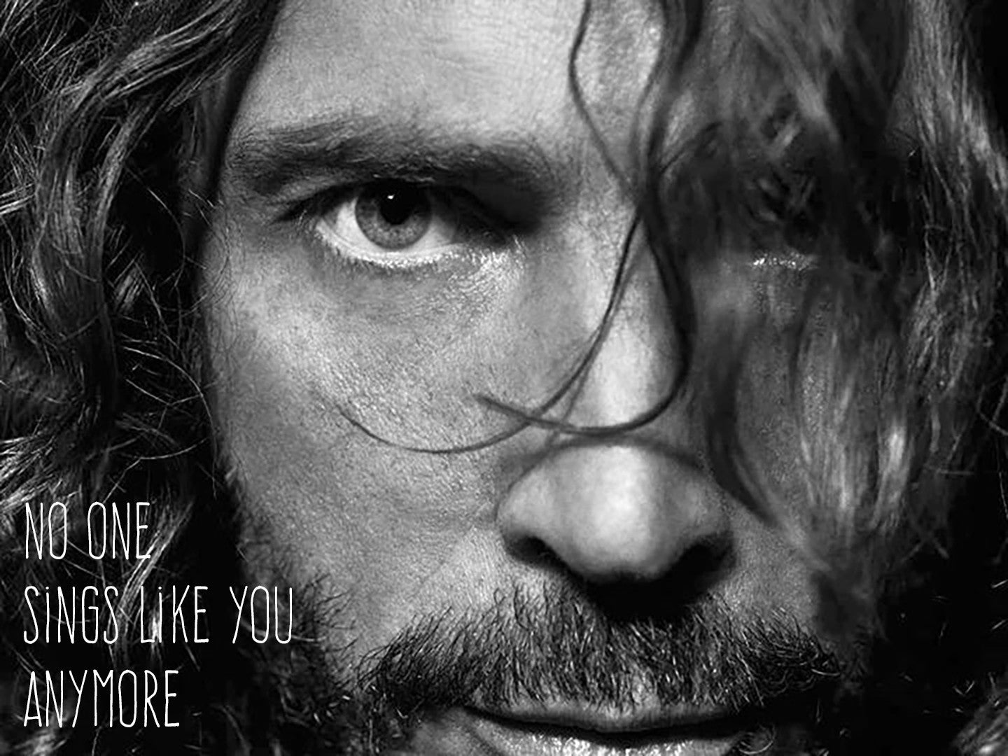 Chris Cornell - No One Sings Like You.. |  Vinyl LP | Chris Cornell - No One Sings Like You Anymore (LP) | Records on Vinyl